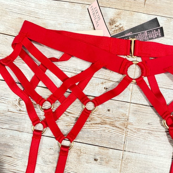 VICTORIA’S SECRET VS Strappy Garter Belt Set - Picture 3 of 6